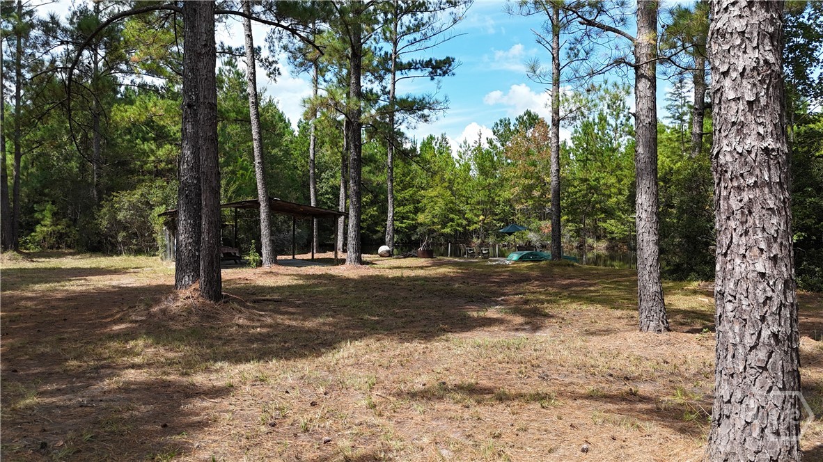 0 Stillwell Clyo Road Springfield, GA 31329 - Photo 6 of 20