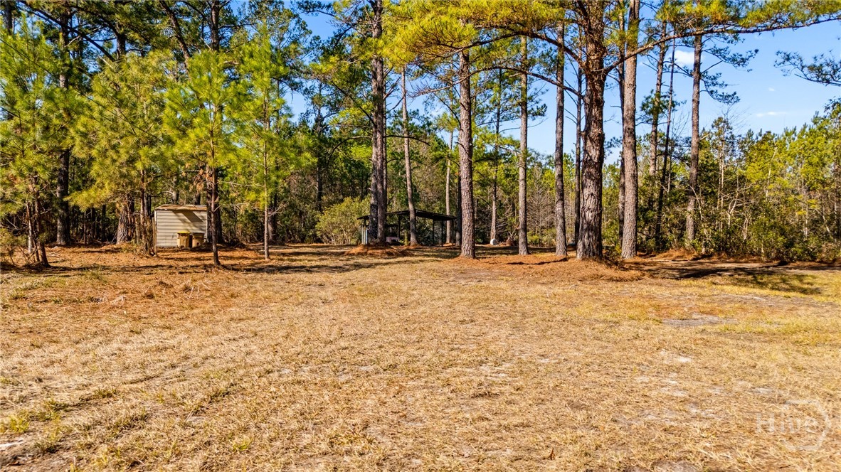 0 Stillwell Clyo Road Springfield, GA 31329 - Photo 7 of 20