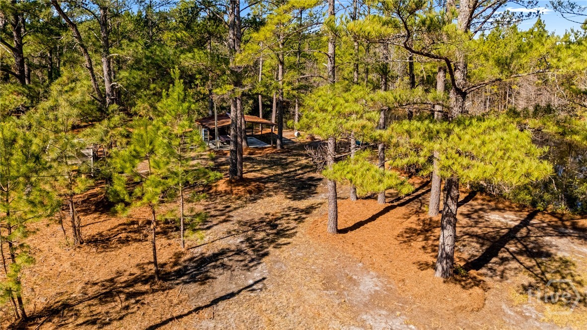0 Stillwell Clyo Road Springfield, GA 31329 - Photo 8 of 20