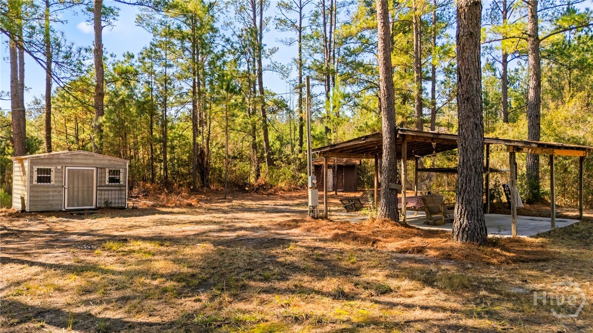 0 Stillwell Clyo Road Springfield, GA 31329 - Photo 9 of 20