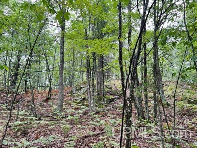 T-wi Wi 54156 Road Pembine, WI 54156 - Photo 10 of 20