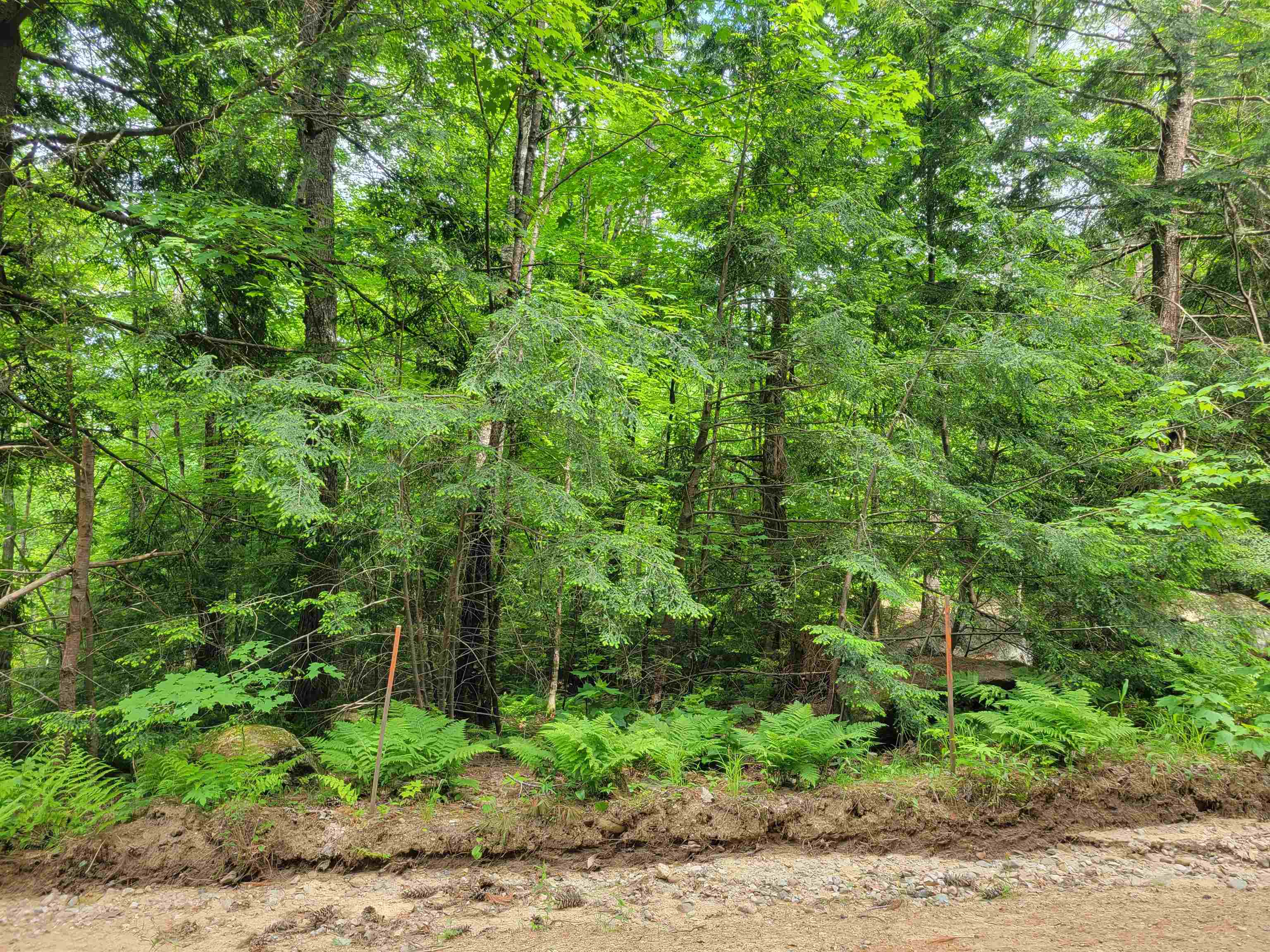 Lot 5-7 Shaw Road Pittsfield, NH 03263 - Photo 1 of 15