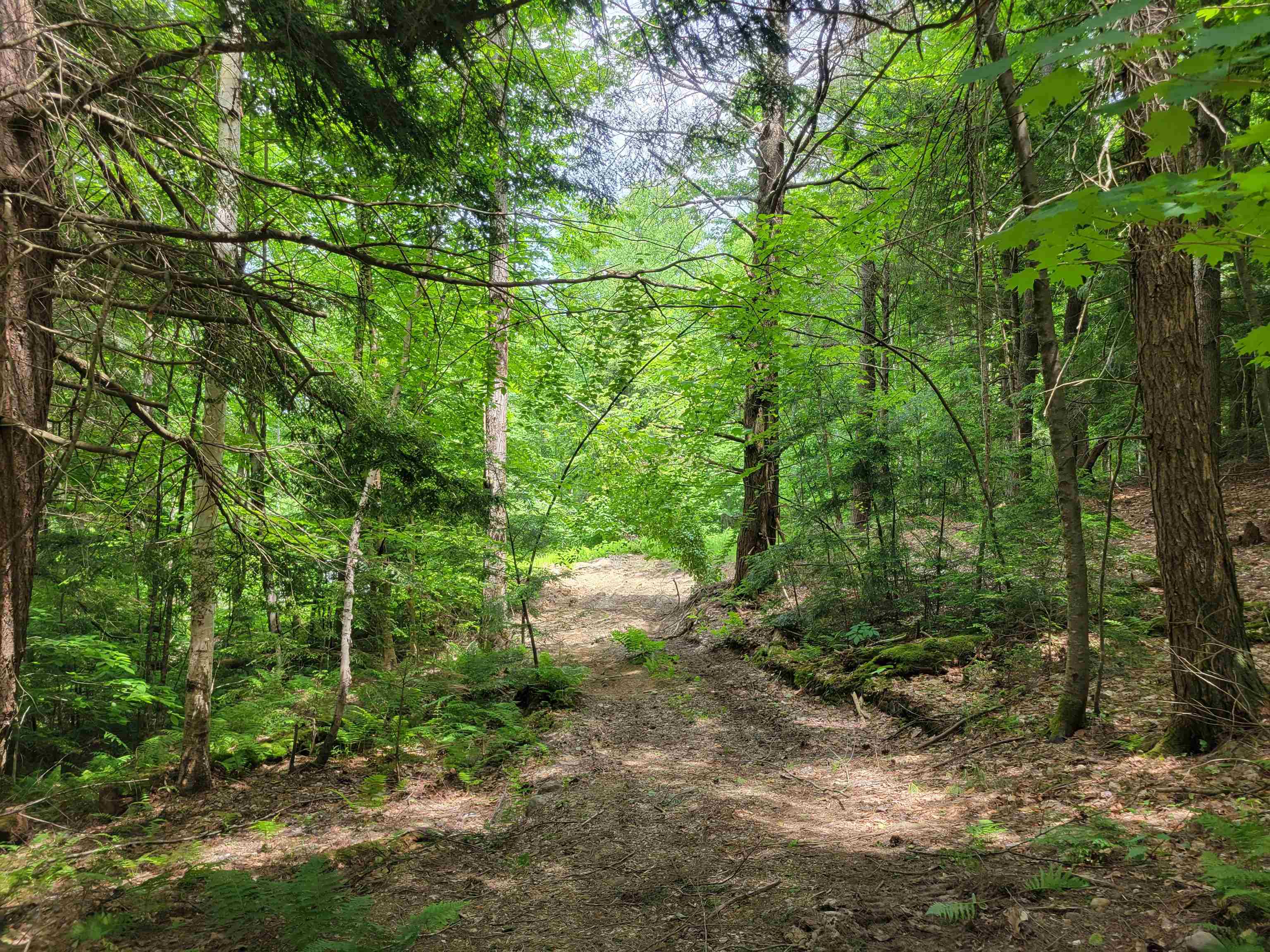 Lot 5-7 Shaw Road Pittsfield, NH 03263 - Photo 11 of 15
