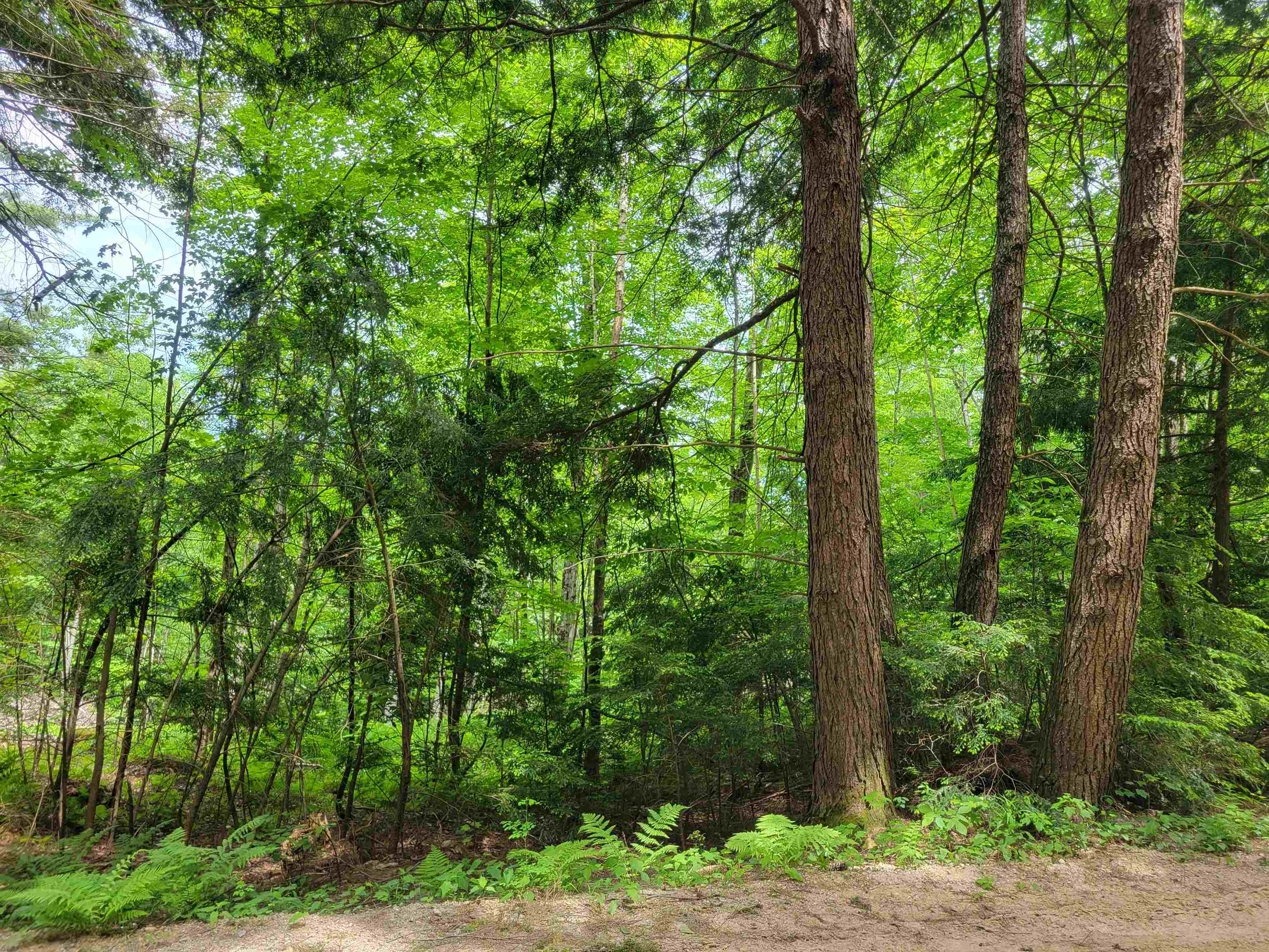 Lot 5-7 Shaw Road Pittsfield, NH 03263 - Photo 14 of 15