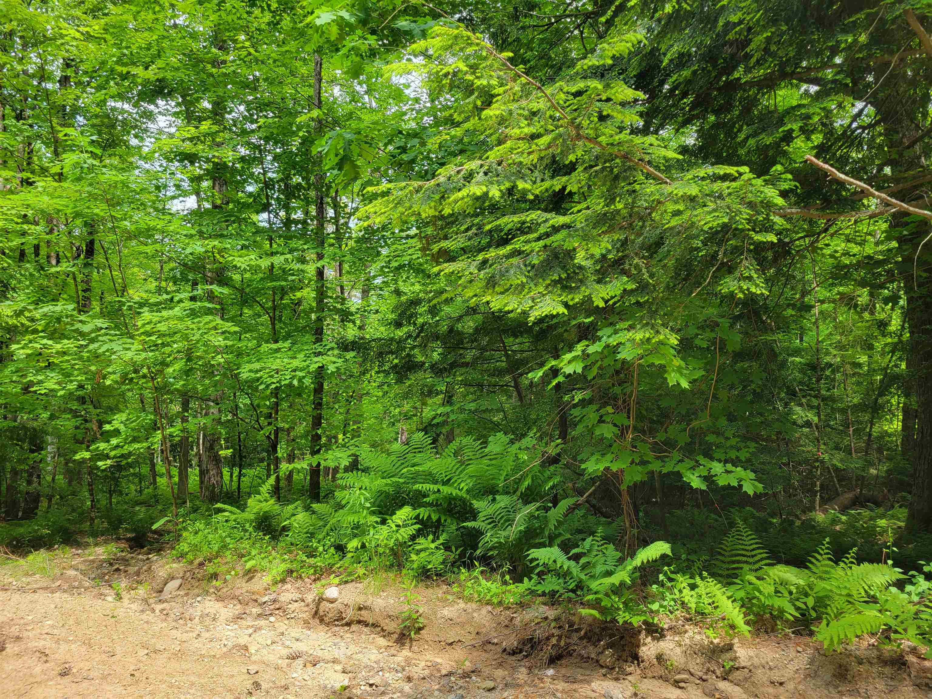 Lot 5-7 Shaw Road Pittsfield, NH 03263 - Photo 15 of 15