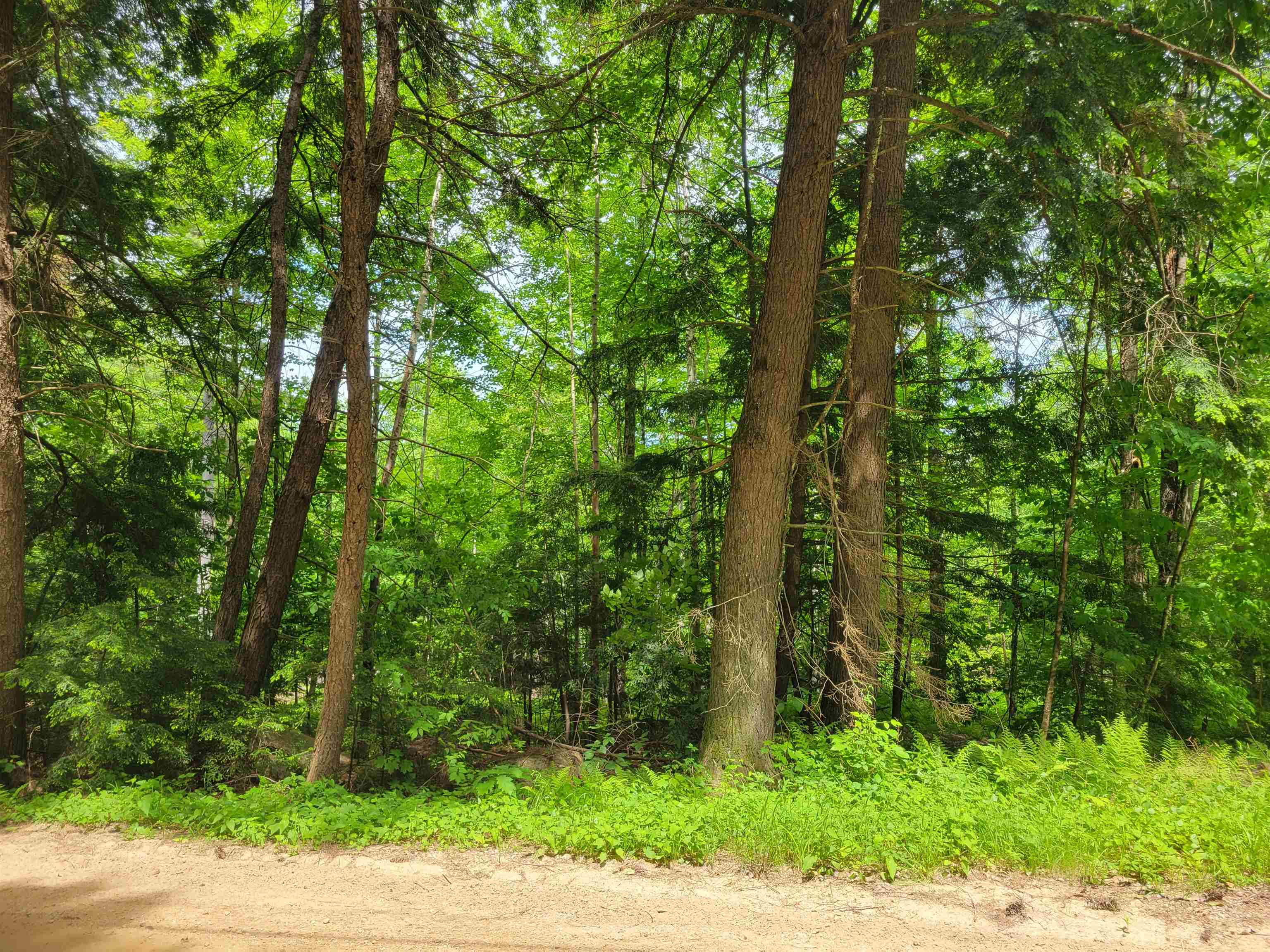 Lot 5-7 Shaw Road Pittsfield, NH 03263 - Photo 2 of 15