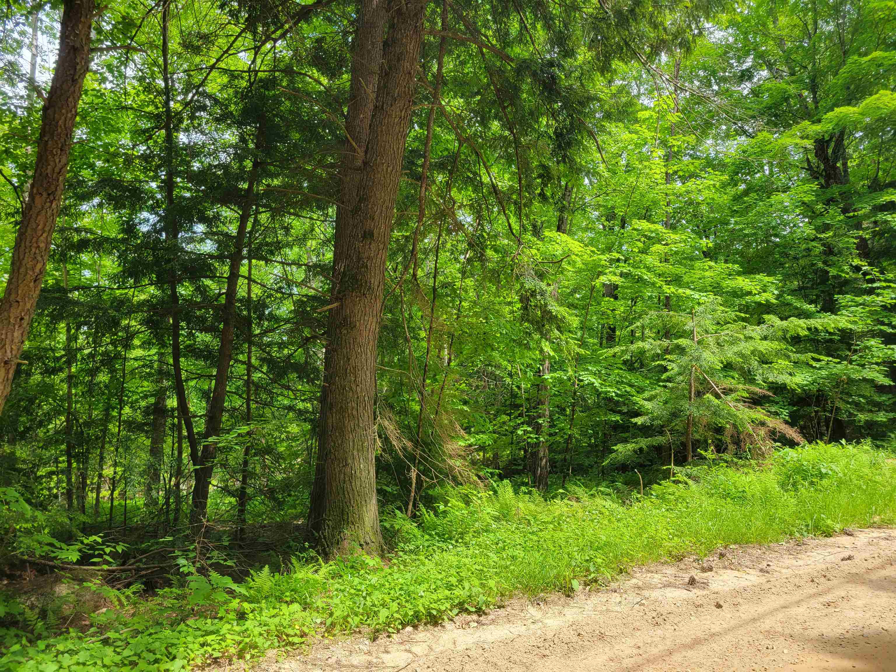 Lot 5-7 Shaw Road Pittsfield, NH 03263 - Photo 3 of 15