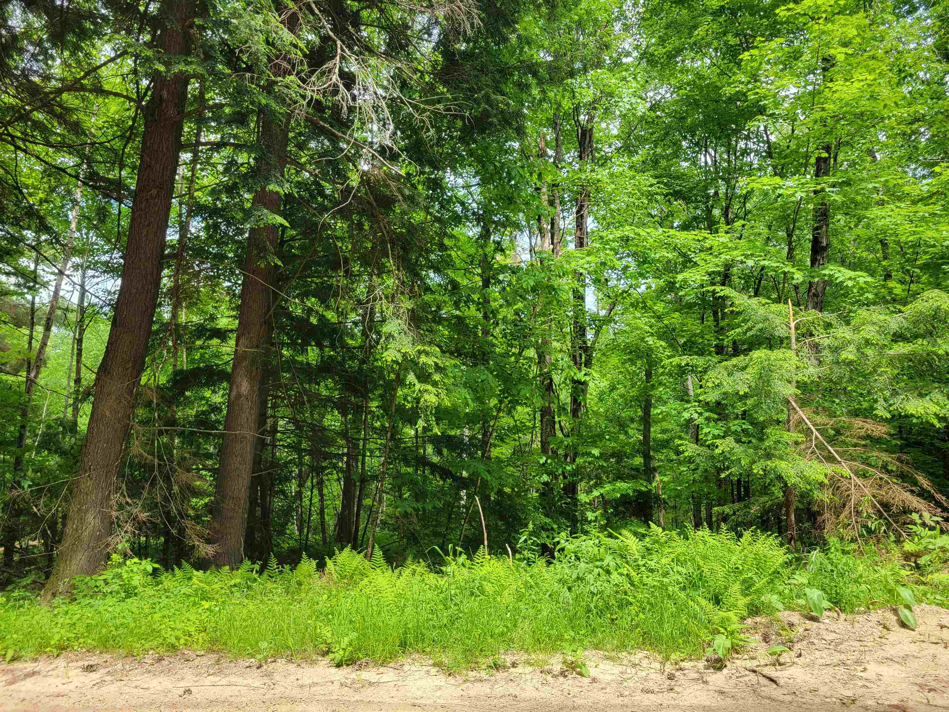 Lot 5-7 Shaw Road Pittsfield, NH 03263 - Photo 4 of 15