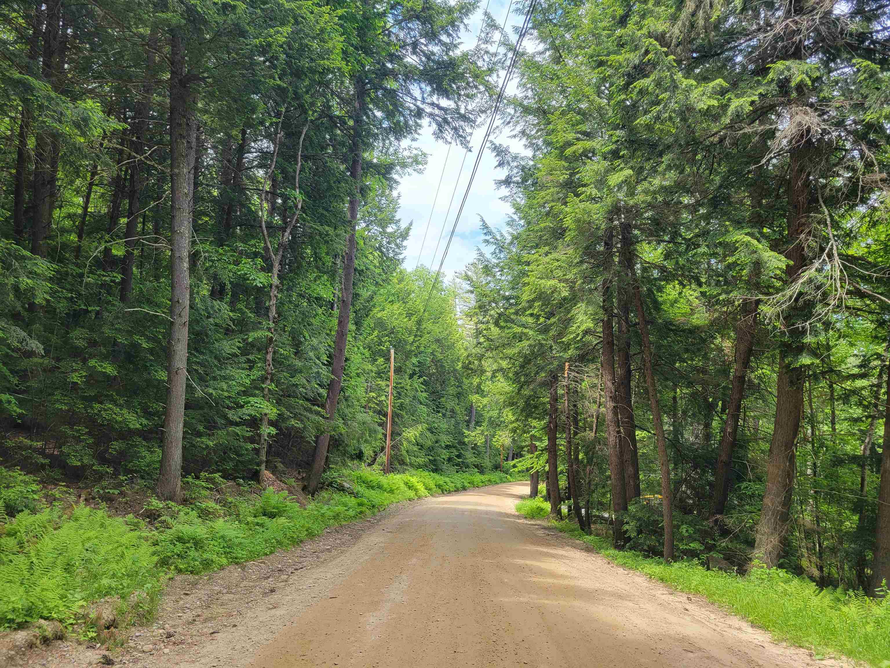 Lot 5-7 Shaw Road Pittsfield, NH 03263 - Photo 5 of 15