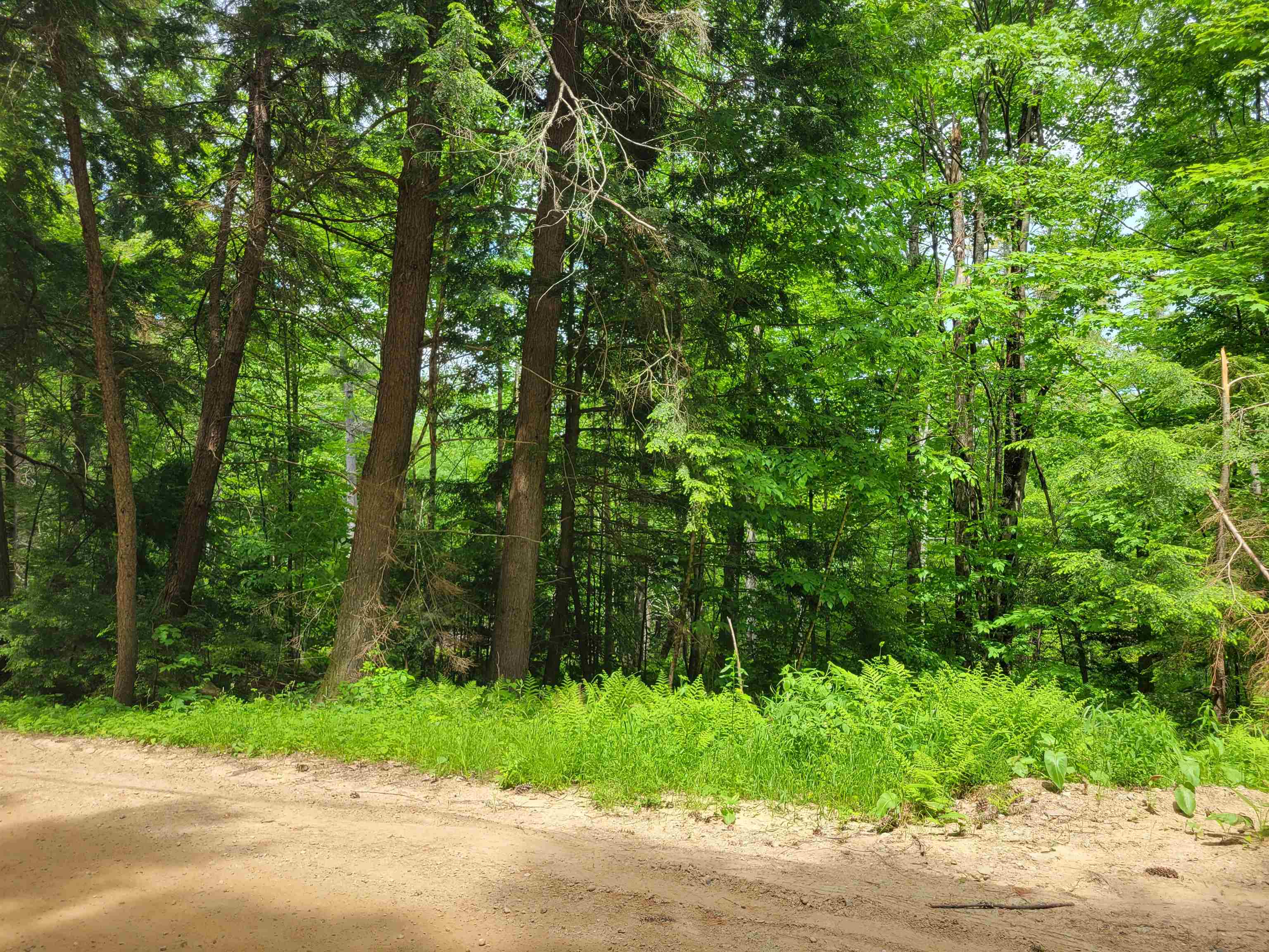 Lot 5-7 Shaw Road Pittsfield, NH 03263 - Photo 8 of 15