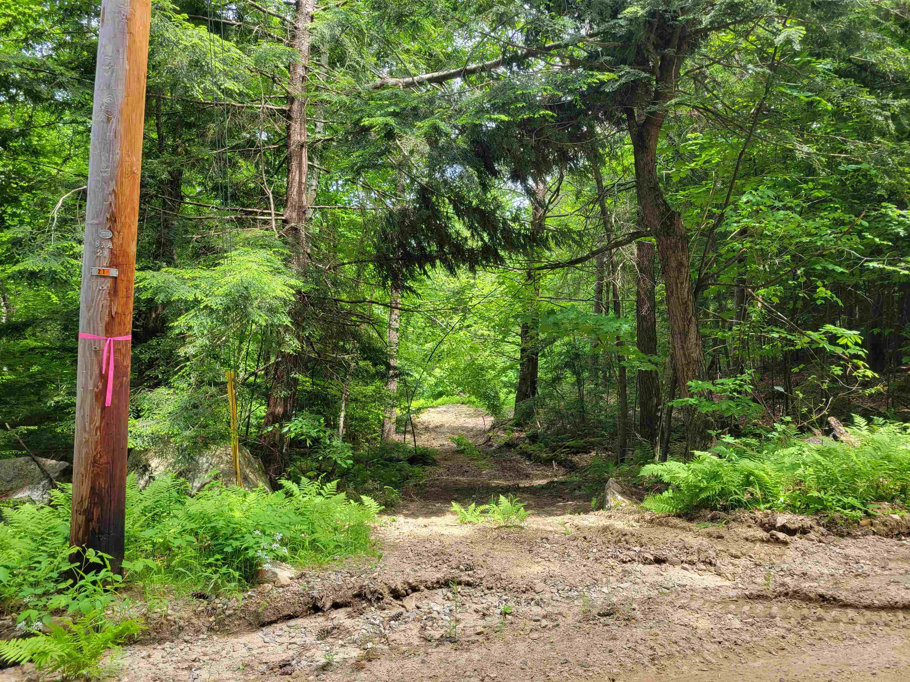 Lot 5-7 Shaw Road Pittsfield, NH 03263 - Photo 10 of 15