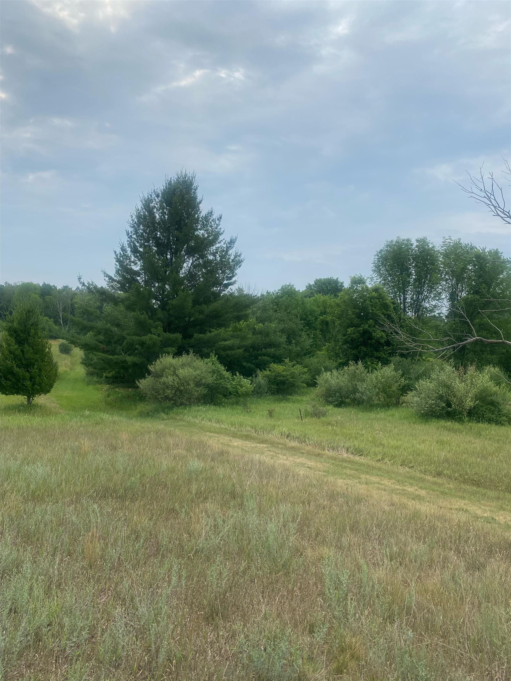 Four 4 Mile Road Evart, MI 49631 - Photo 16 of 38