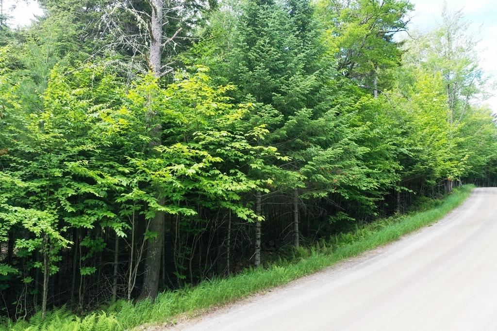 Lot 238 Black Point Road Beaver Cove, ME 04441 - Photo 27 of 43 DJI_0502