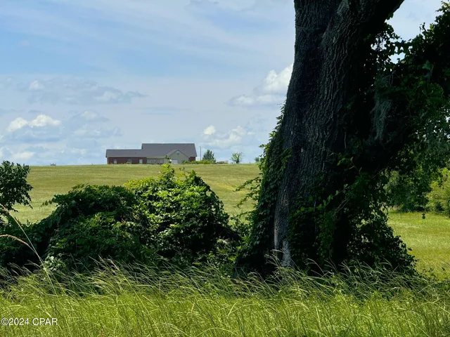 $950,000 | 3361 Old Greenwood Road, Marianna, FL 32446