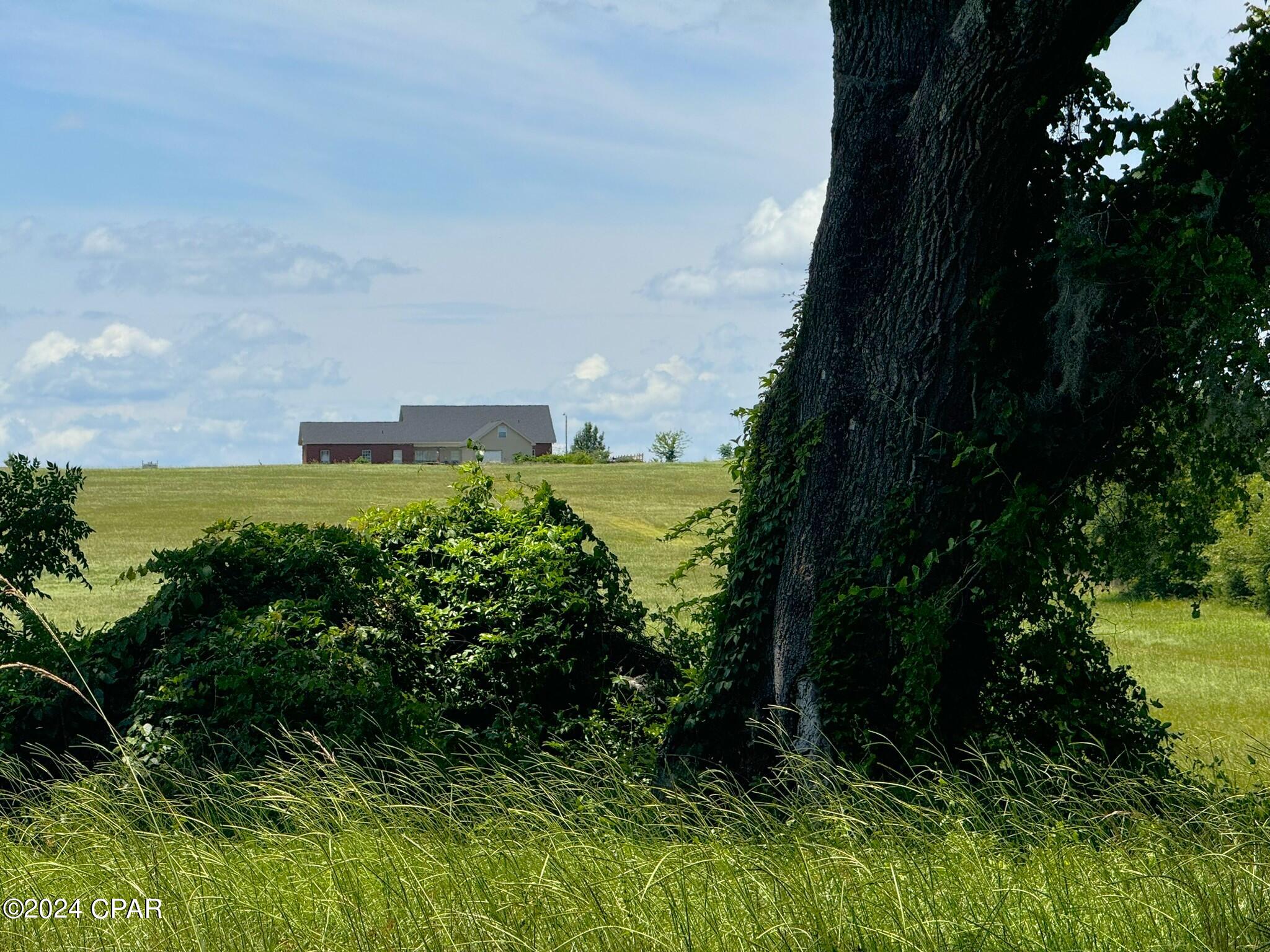 3361 Old Greenwood Road Marianna, FL 32446 - Photo 3 of 20