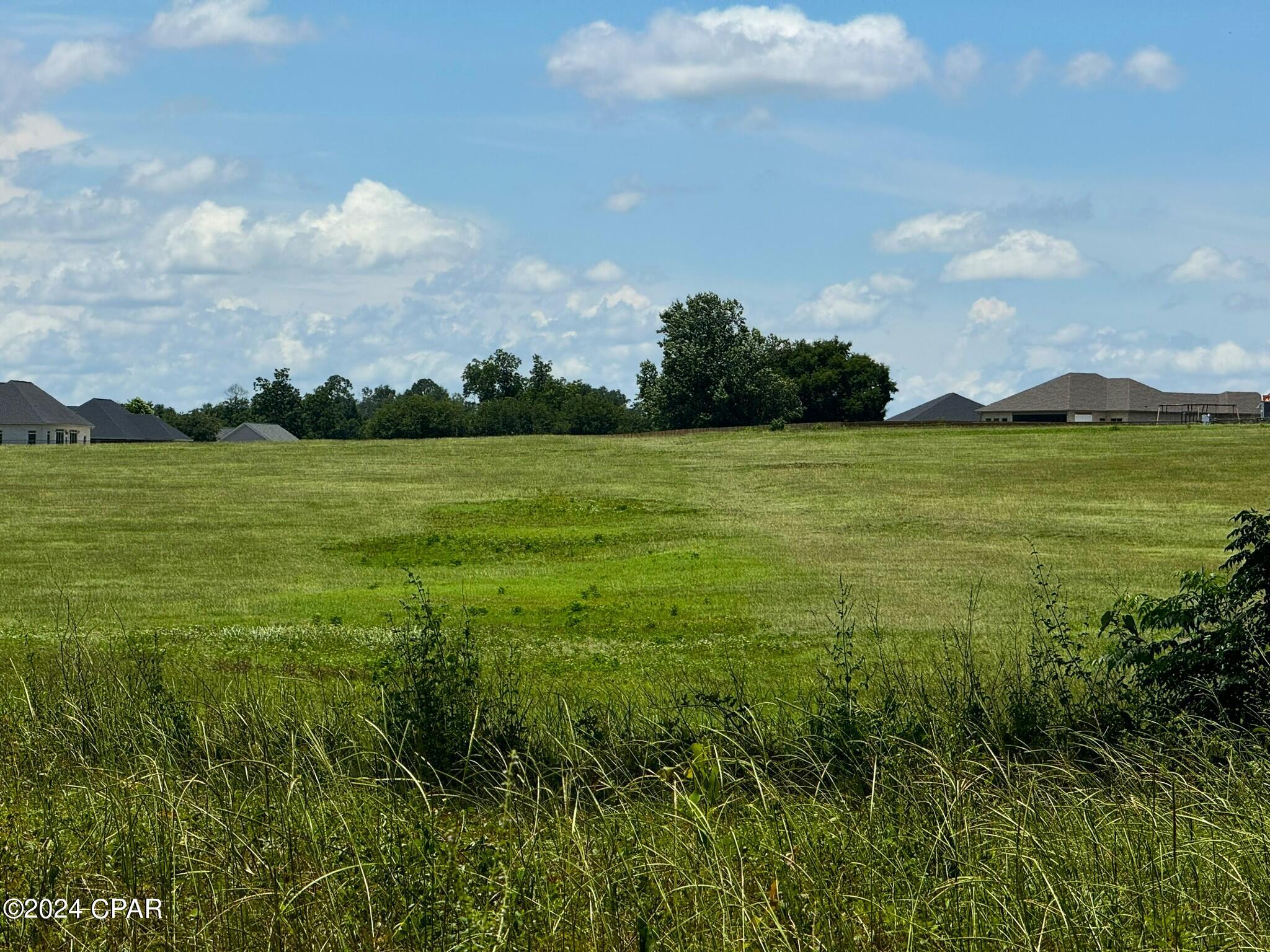 3361 Old Greenwood Road Marianna, FL 32446 - Photo 4 of 20