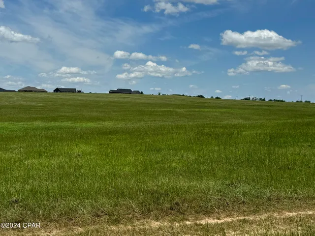 $950,000 | 3361 Old Greenwood Road, Marianna, FL 32446