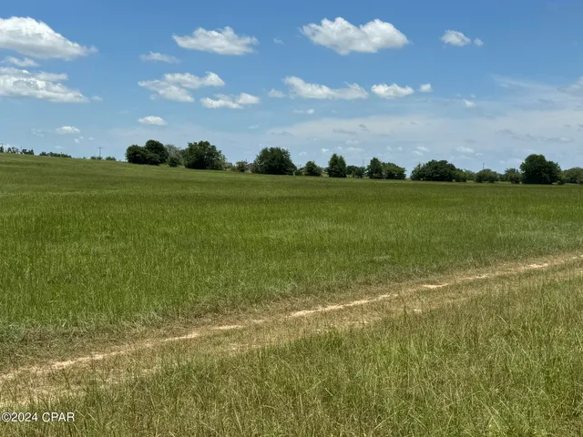 $950,000 | 3361 Old Greenwood Road, Marianna, FL 32446