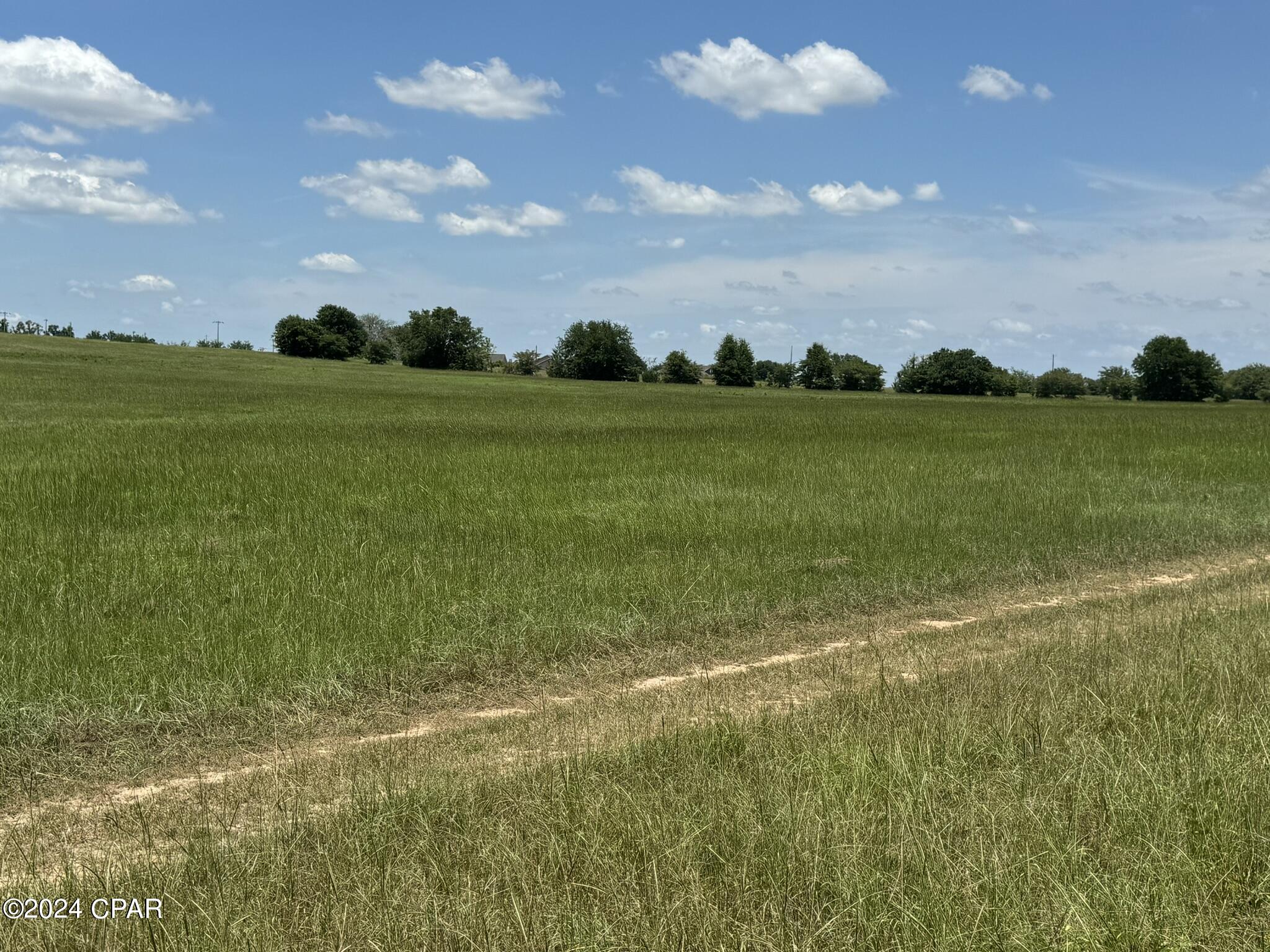 3361 Old Greenwood Road Marianna, FL 32446 - Photo 9 of 20