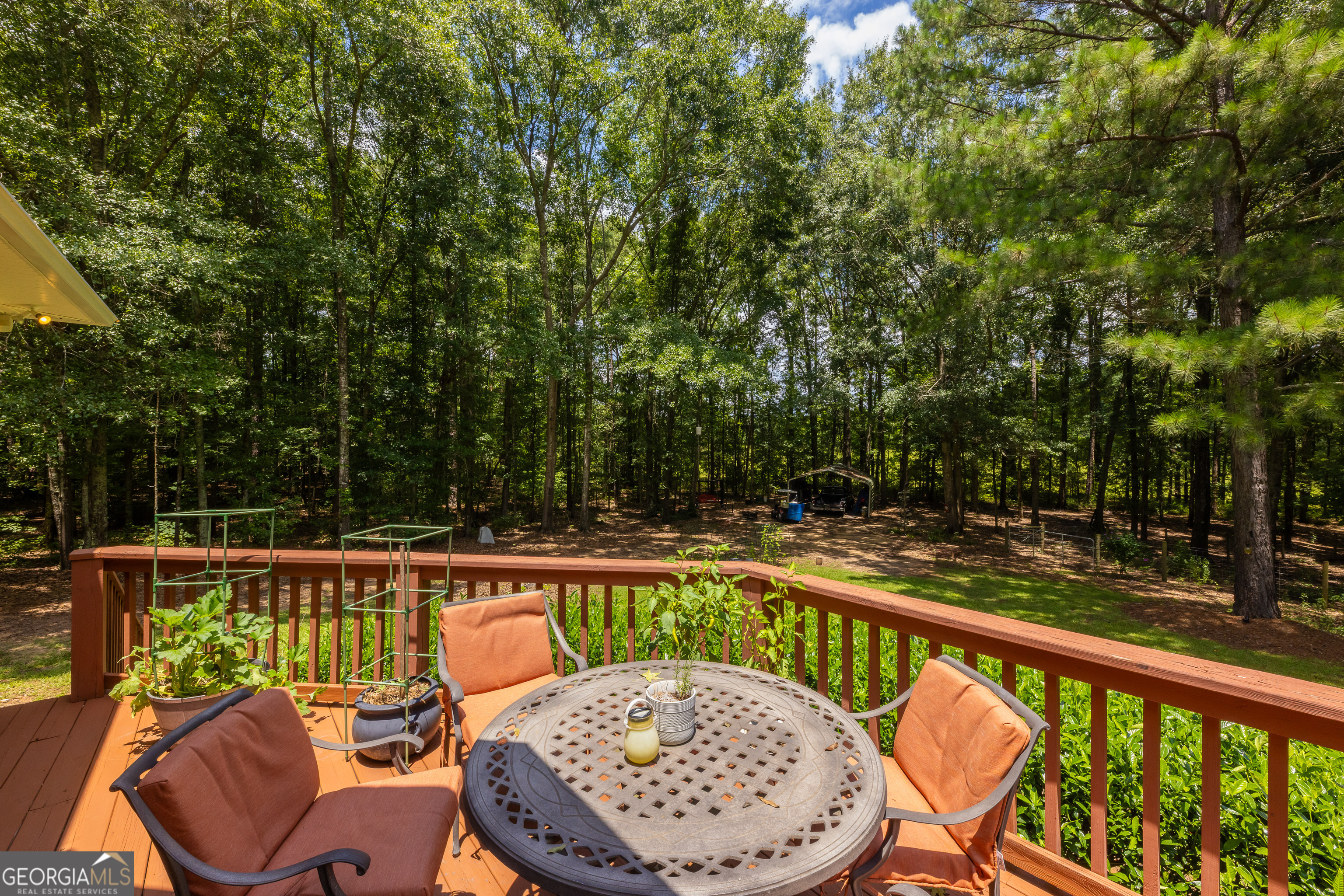 624 Spring Creek Road Thomaston, GA 30286 - Photo 69 of 103 Gallery Image 69