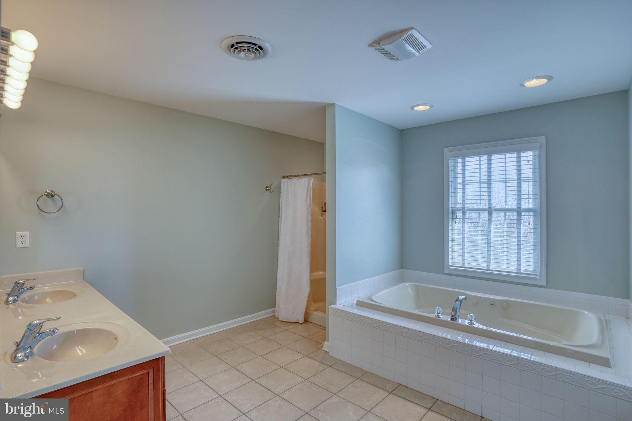 210 Grapevine Way Milford, DE 19963 - Photo 57 of 61 a bathroom with a tub a sink and a window