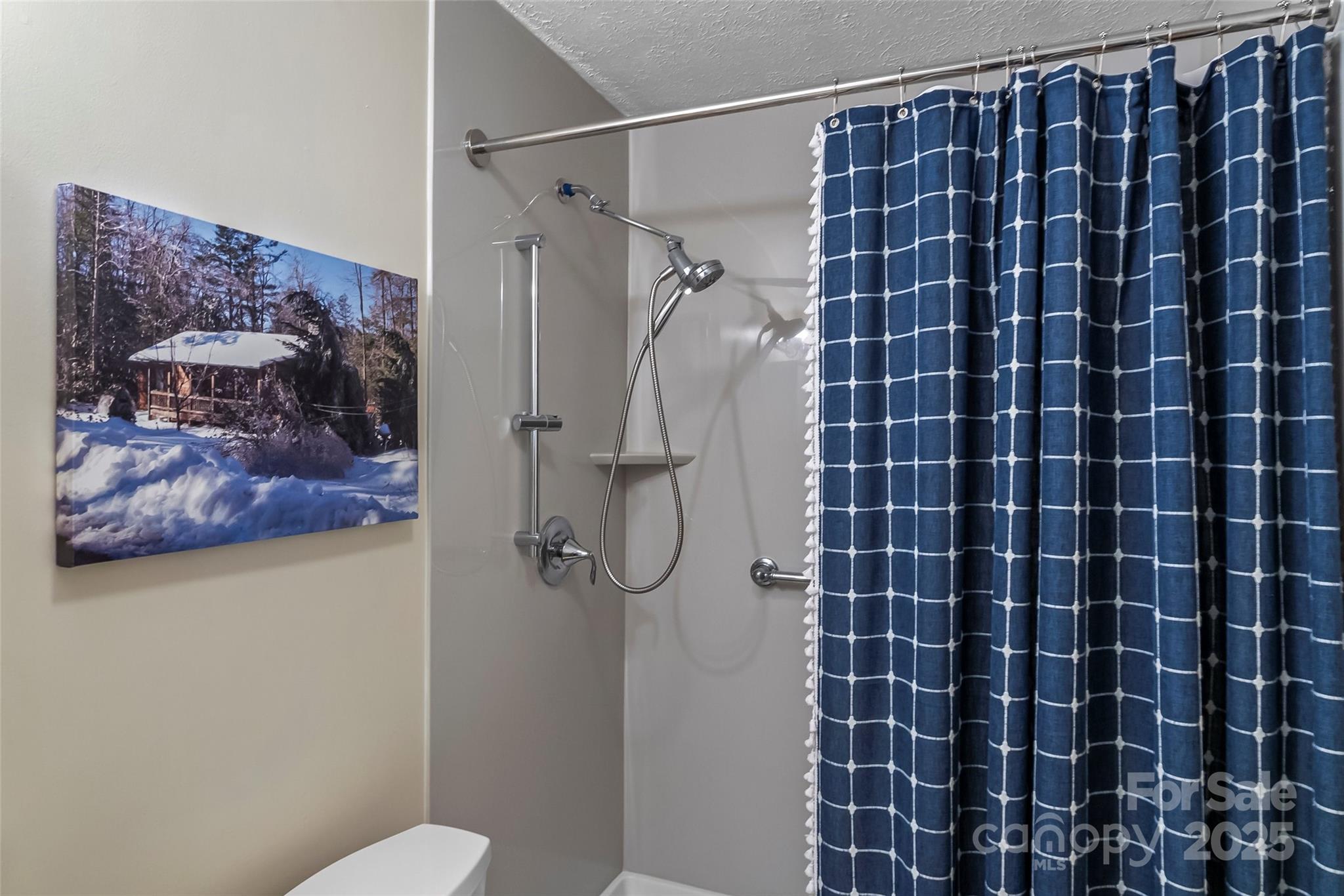 6562 Gingercake Road Newland, NC 28657 - Photo 19 of 39 Gallery Image 19