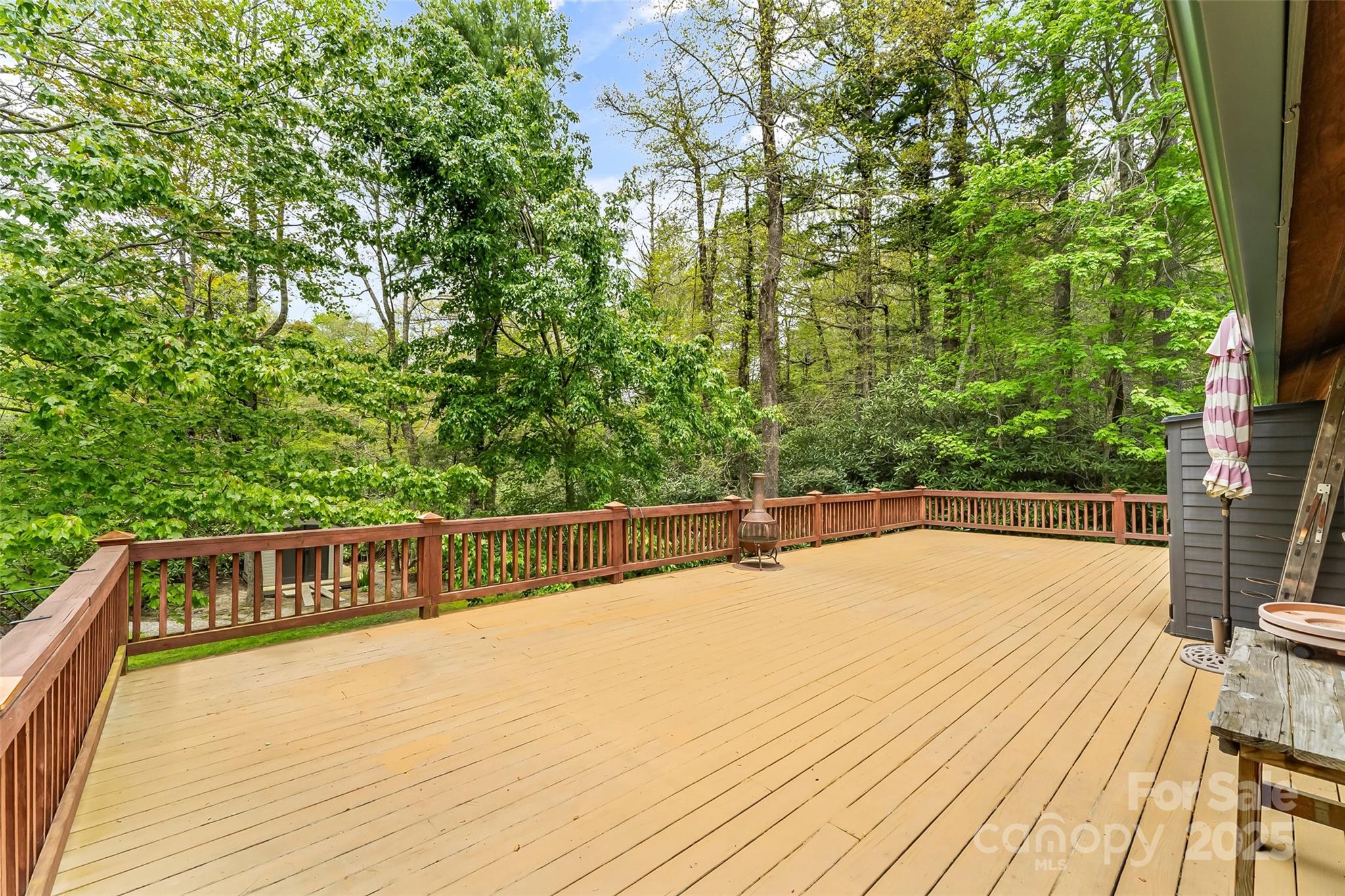 6562 Gingercake Road Newland, NC 28657 - Photo 3 of 39 Gallery Image 3
