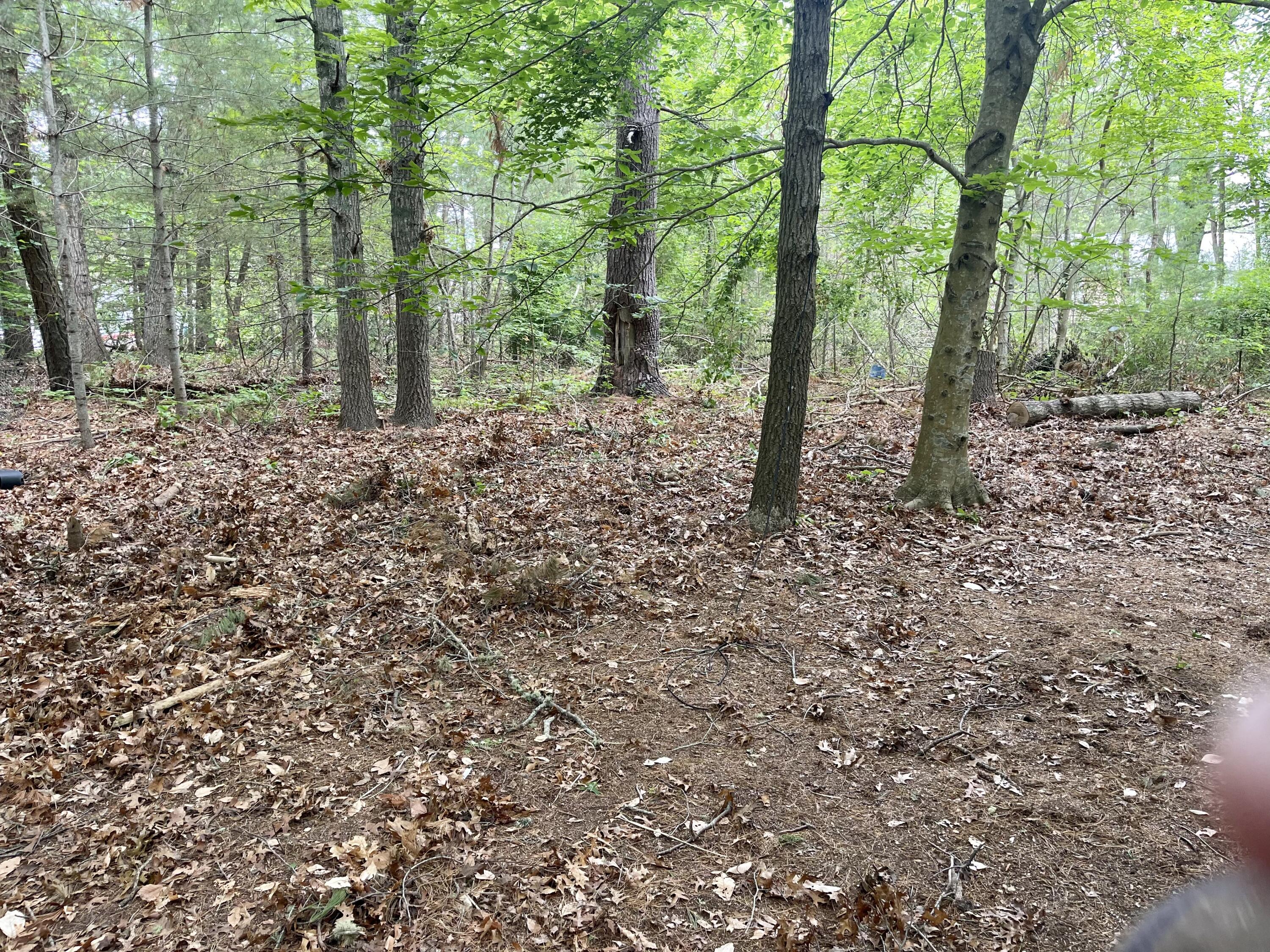 40 Wood Haul Road Mashpee, MA 02649 - Photo 47 of 50 CE01DD75-74CA-47C6-89C5-66056D0B3392