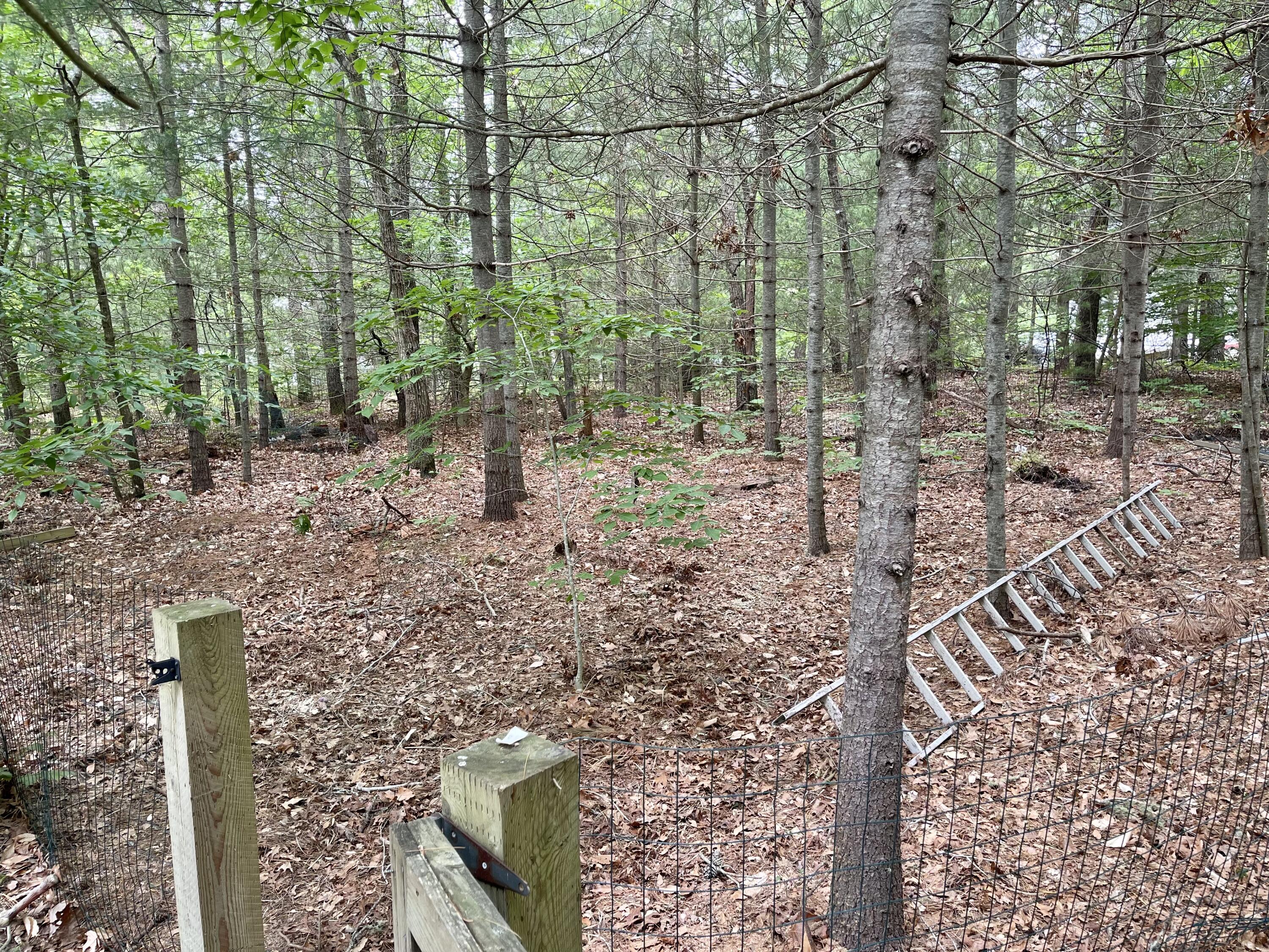 40 Wood Haul Road Mashpee, MA 02649 - Photo 48 of 50 296DB770-170E-4C0D-9B64-4D0E11161246
