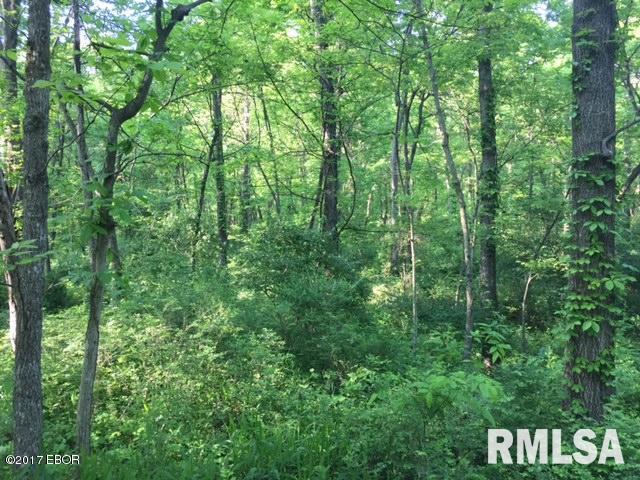 0 East Patten Road Belle Rive, IL 62810 - Photo 1 of 19