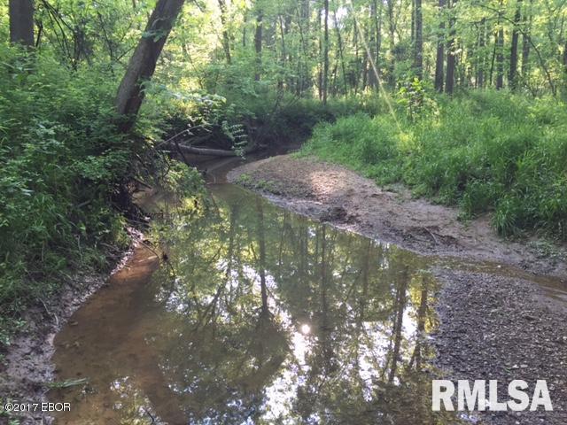 0 East Patten Road Belle Rive, IL 62810 - Photo 12 of 19