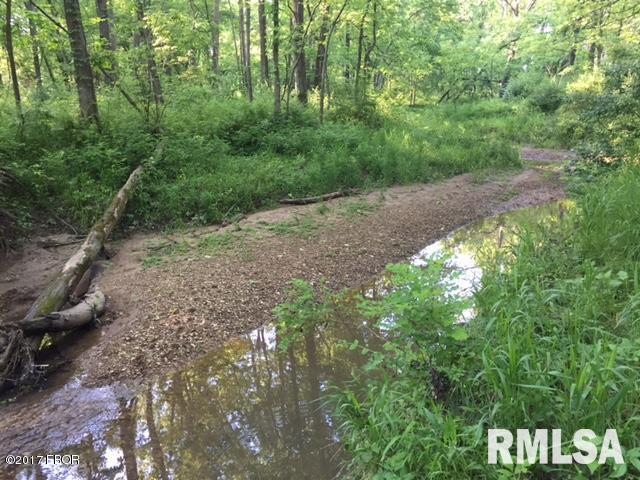 0 East Patten Road Belle Rive, IL 62810 - Photo 14 of 19