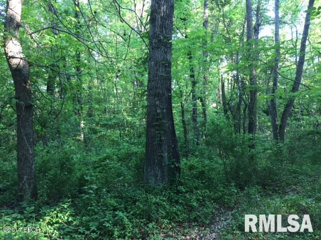 0 East Patten Road Belle Rive, IL 62810 - Photo 15 of 19