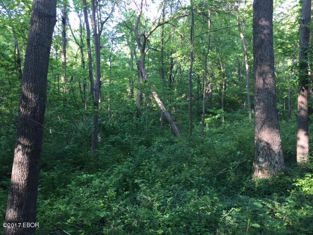0 East Patten Road Belle Rive, IL 62810 - Photo 16 of 19