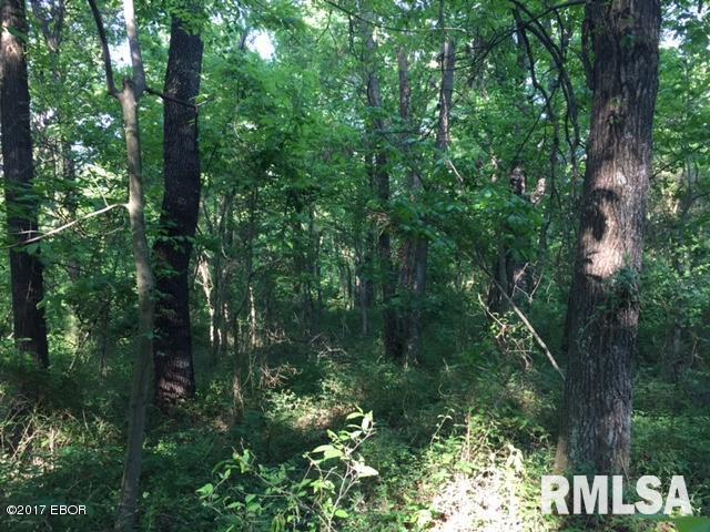 0 East Patten Road Belle Rive, IL 62810 - Photo 9 of 19