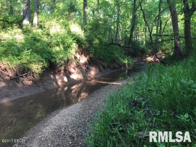 0 East Patten Road Belle Rive, IL 62810 - Photo 10 of 19