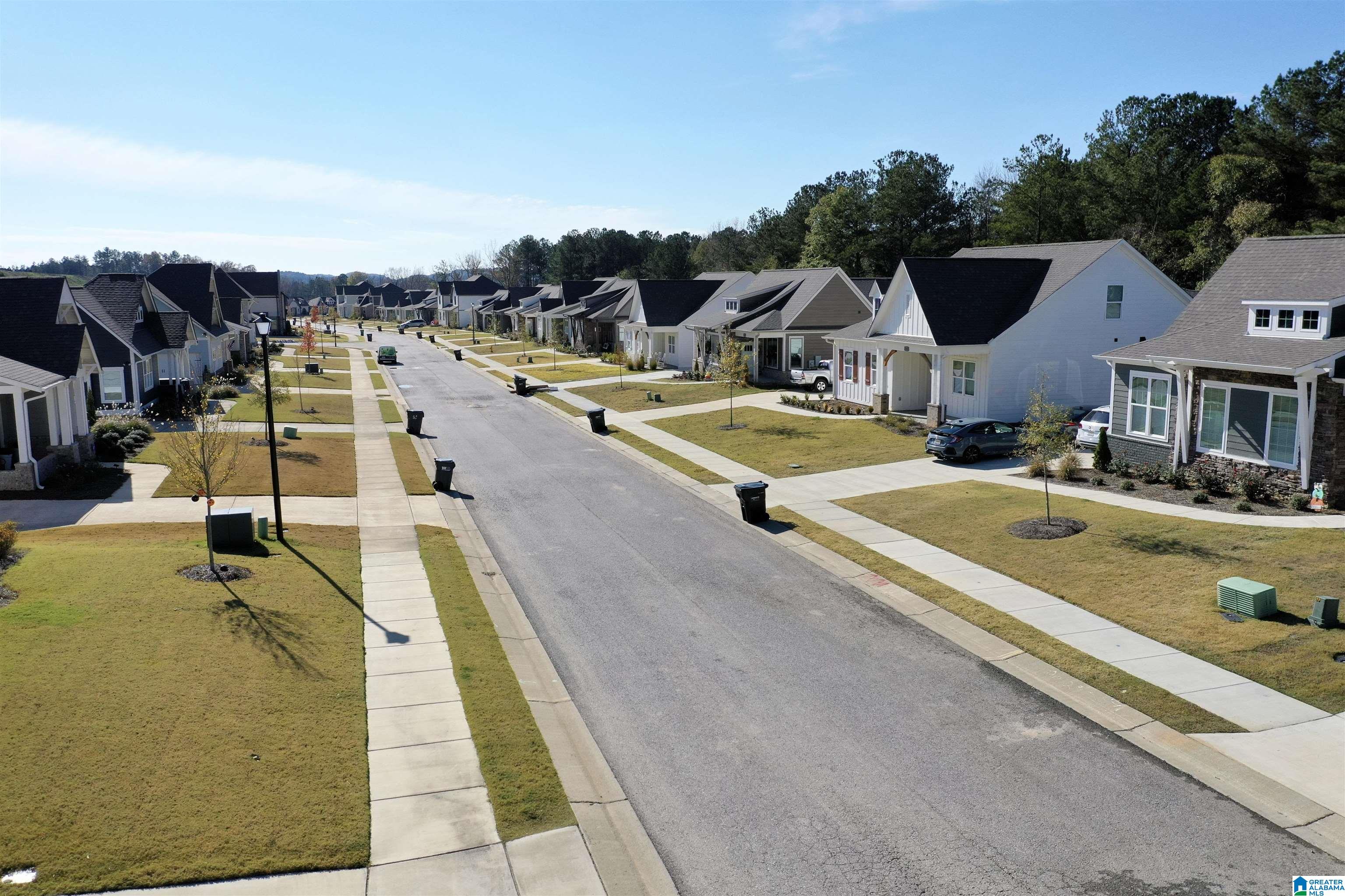 3021 Simms Landing Pelham, AL 35124 - Photo 45 of 52