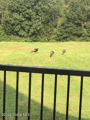 1443 County Rte 49 Argyle, NY 12809 - Photo 70 of 72 A Turkey