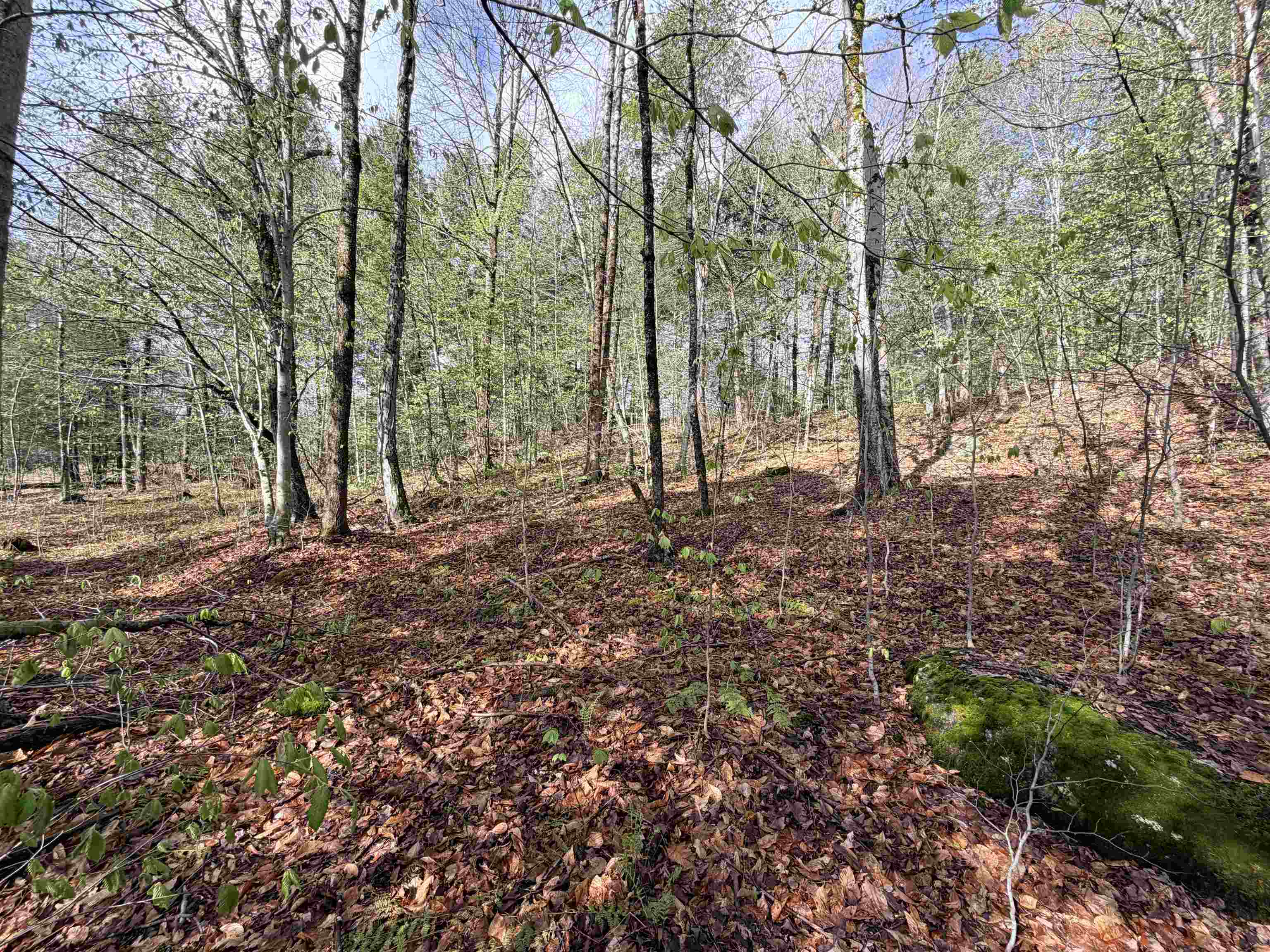 0 North Old Branch Road Antrim, NH 03440 - Photo 2 of 12
