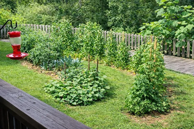 $799,000 | 206 Blue Mountain Parkway, Rocky Face, GA 30740