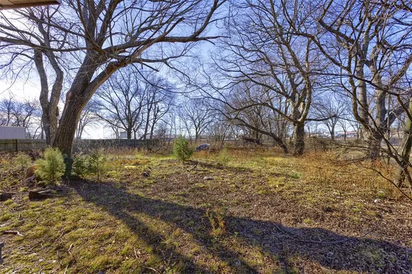 a lake view with large trees