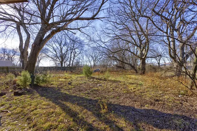 a lake view with large trees