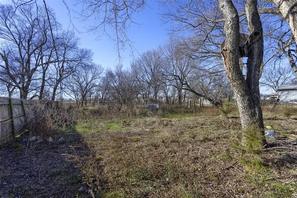 a view of a yard with a tree