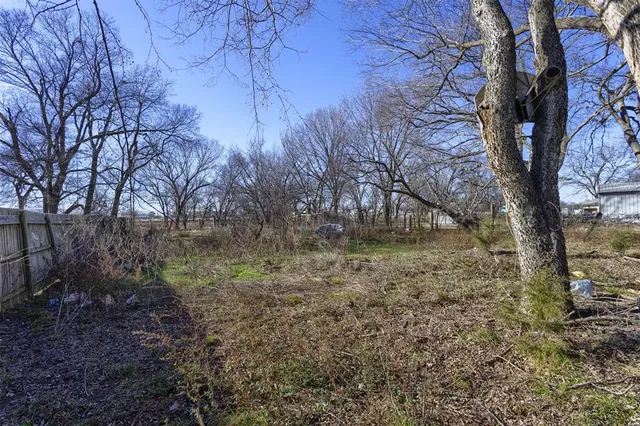 a view of a yard with a tree
