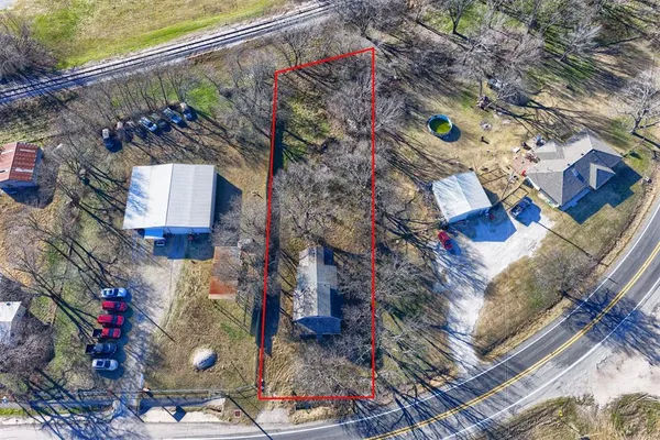 a picture of a tree with a yard