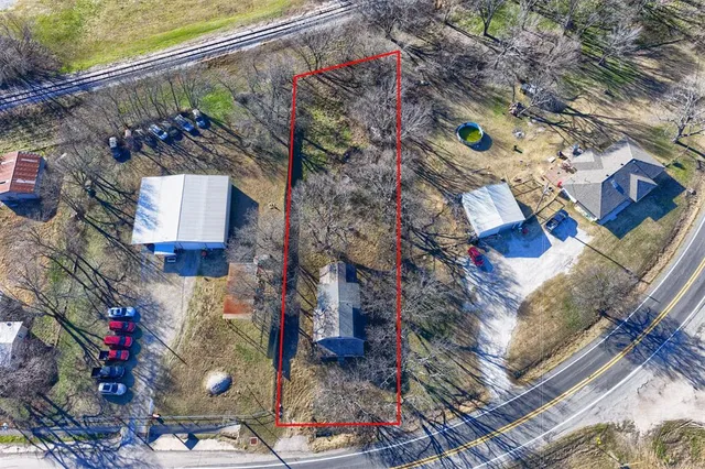 a picture of a tree with a yard