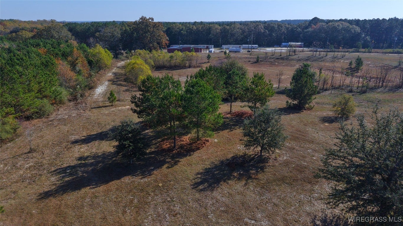 84 Mccallister Road Slocomb, AL 36375 - Photo 8 of 12 Gallery Image 8