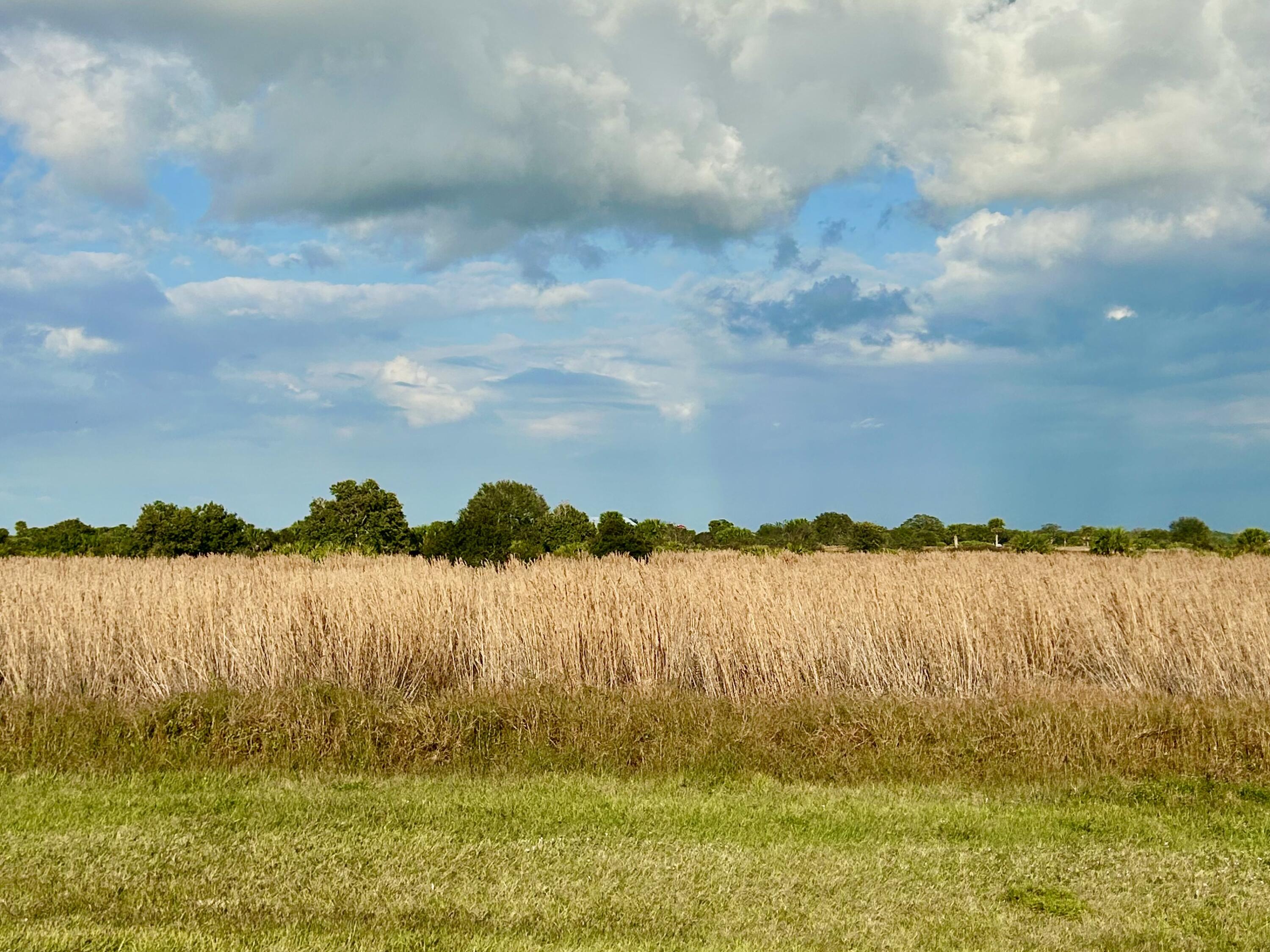 6635 Southeast 26th Trail Okeechobee, FL 34974 - Photo 3 of 5 IMG_3977