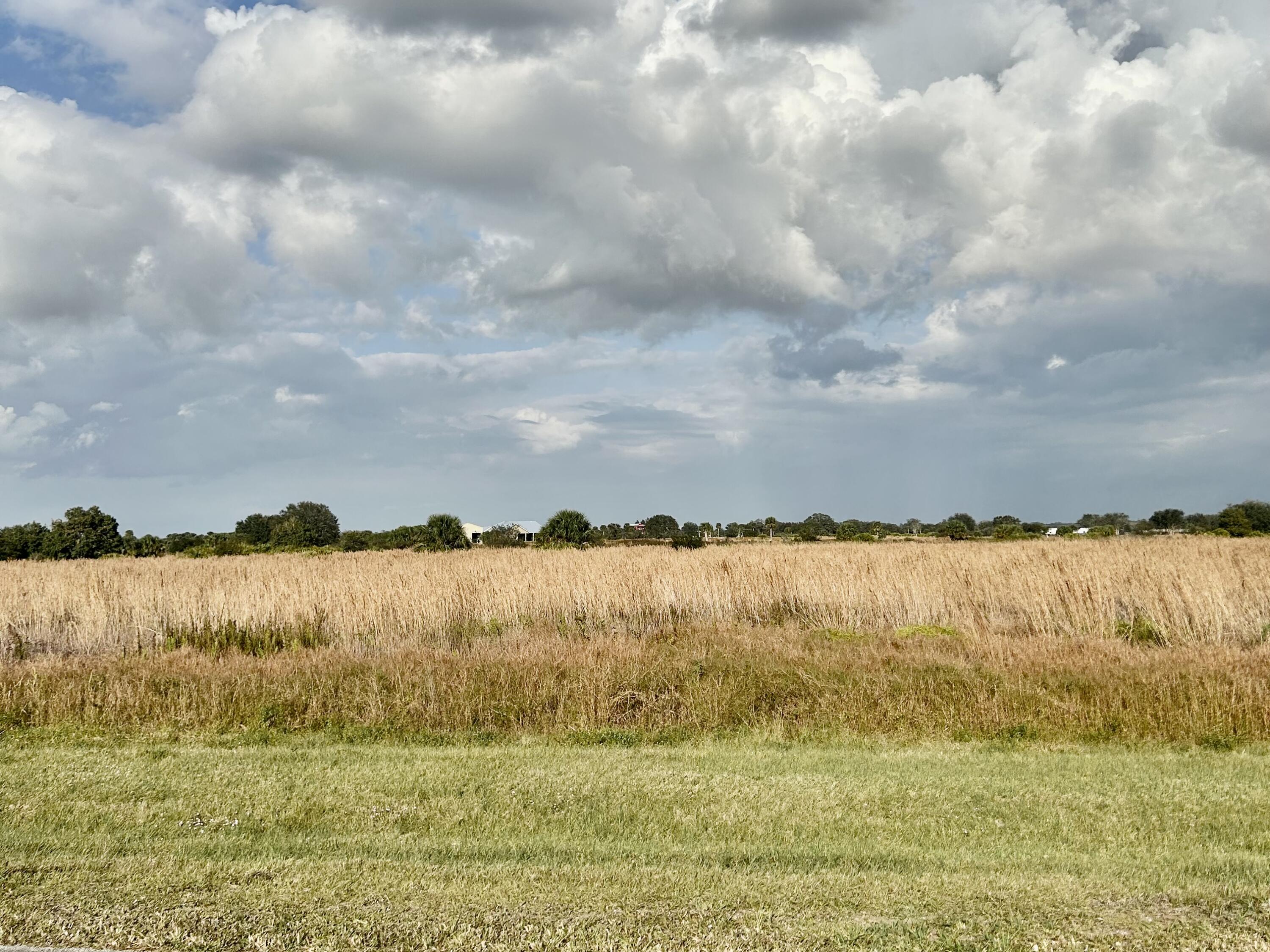 6635 Southeast 26th Trail Okeechobee, FL 34974 - Photo 5 of 5 IMG_3976