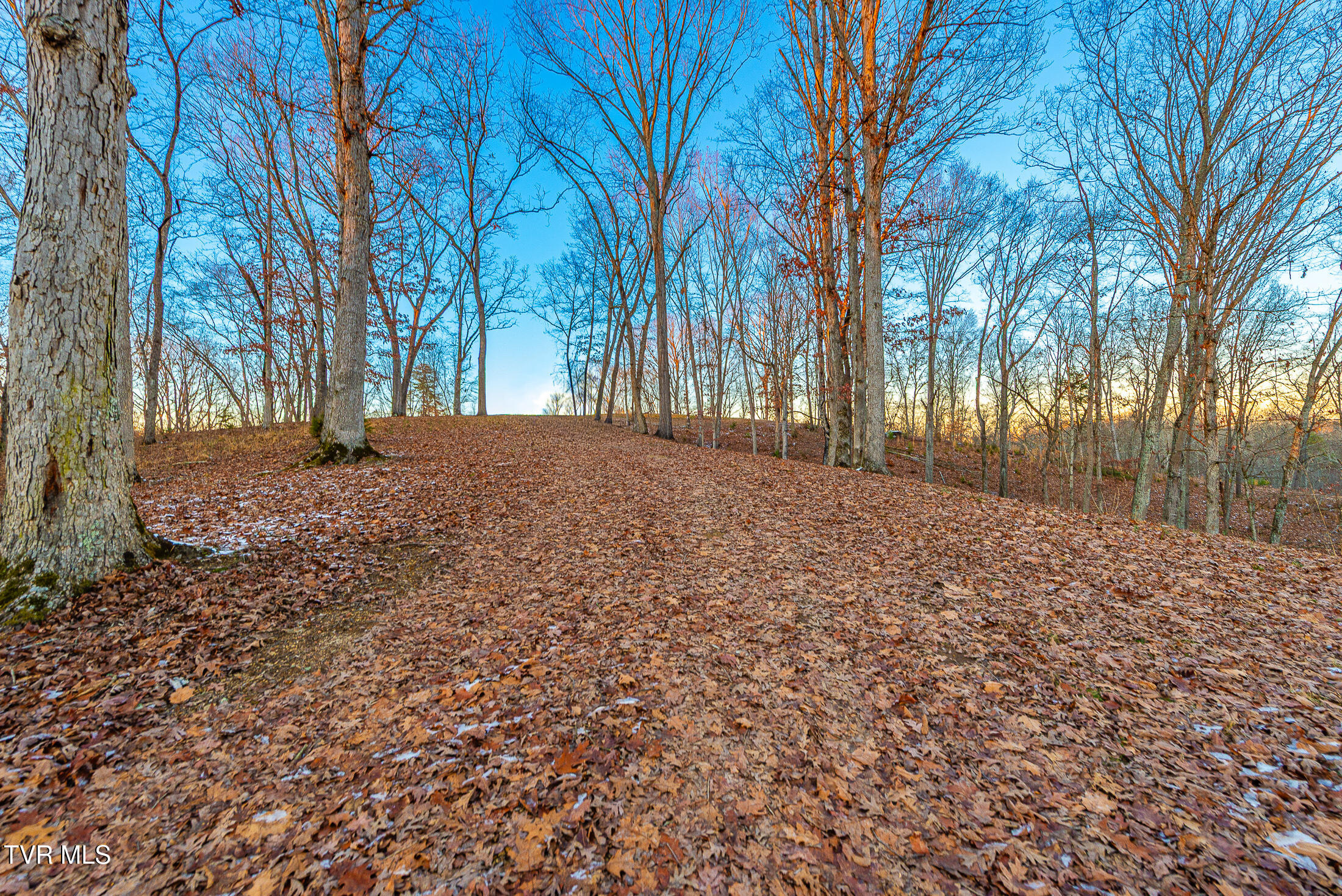 2321 Turkey Ridge Lane, Unit 12 Piney Flats, TN 37686 - Photo 3 of 10 Turkey Ridge